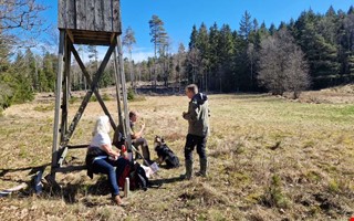 Paret vill göra den sanka ängen till ett paradis för djur