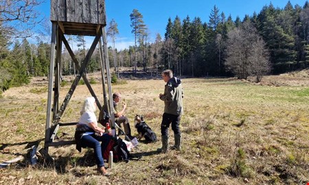 Paret vill g�ra den sanka �ngen till ett paradis f�r djur
