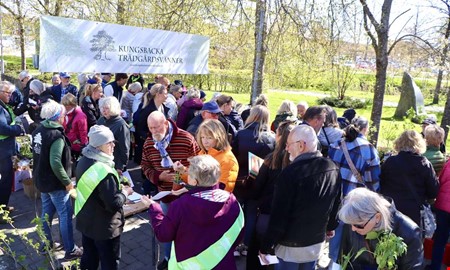 V�xtmarknaden firar 20 �r � siktar p� rekord