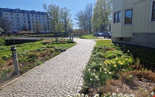 94-�ring knuffades omkull efter konflikt om g�ngsida