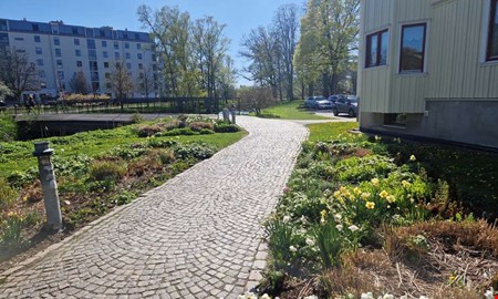 94-�ring knuffades omkull efter konflikt om g�ngsida