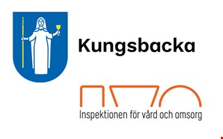 Fusk i hemtj�nsten � brister i utredningen