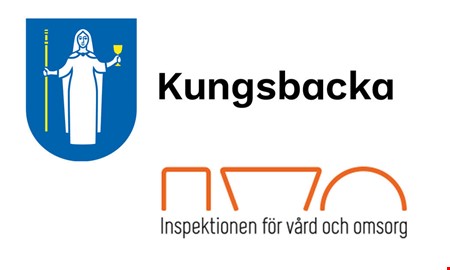Fusk i hemtj�nsten � brister i utredningen