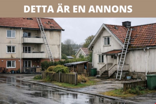 Takproblem �kar efter extrema v�der � m�nga uppt�cker skador f�r sent