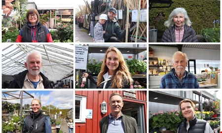 Det här är Kungsbackabornas favoriter i trädgården