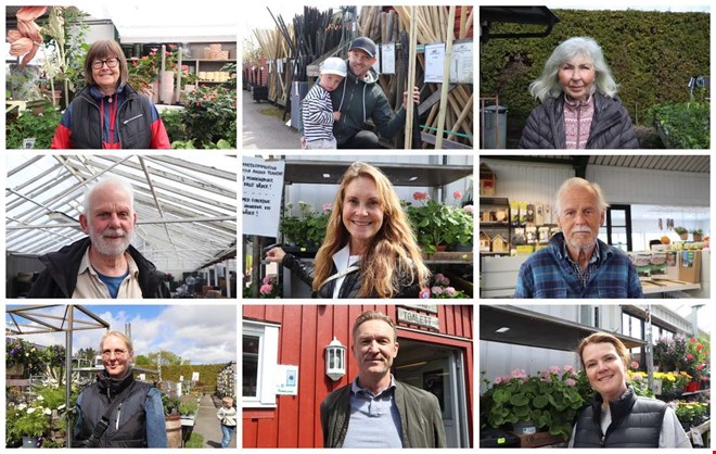 Det här är Kungsbackabornas favoriter i trädgården