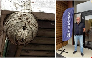 Nu vaknar getingarna � s� slipper du problem i sommar