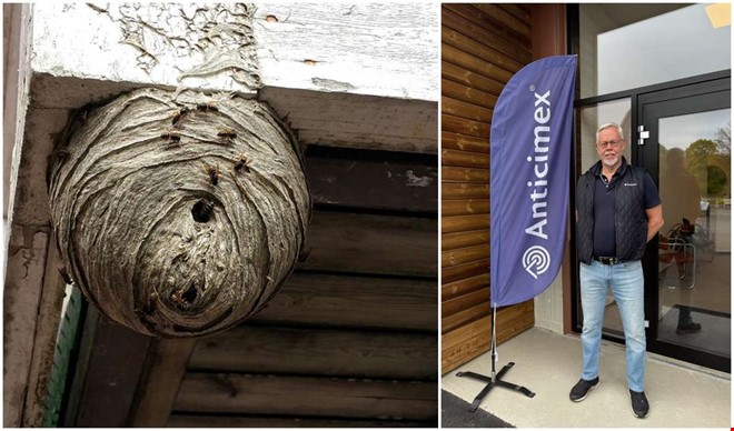 Nu vaknar getingarna � s� slipper du problem i sommar