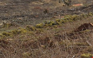 Onsalav�gen stoppas av gamla stenmurar
