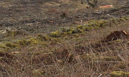 Onsalav�gen stoppas av gamla stenmurar