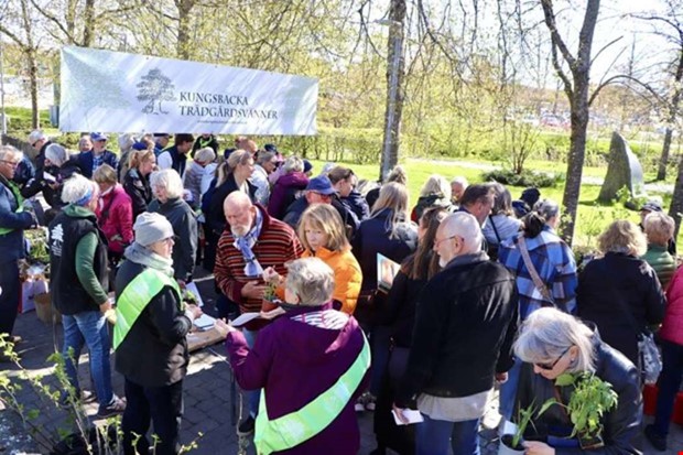V�xtmarknad drog in rekordbelopp till v�lg�renhet
