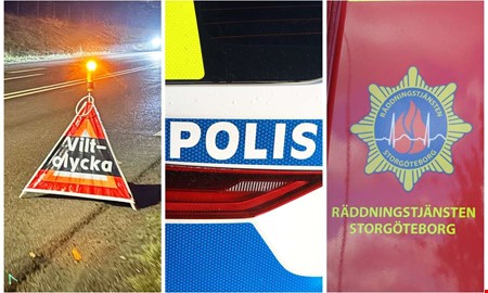 MC krockade med r�djur � j�gare kallades in