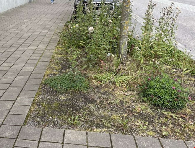 Debatt: Skrämmande vanskötsel 