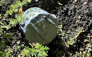 Efter bombd�d � nu d�ms kvinnan f�r st�lder mot �ldre
