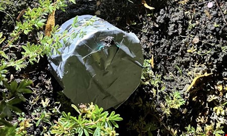 Efter bombd�d � nu d�ms kvinnan f�r st�lder mot �ldre