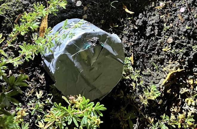 Efter bombd�d � nu d�ms kvinnan f�r st�lder mot �ldre