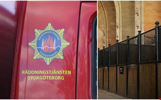 Räddningsinsats när häst fastnade 