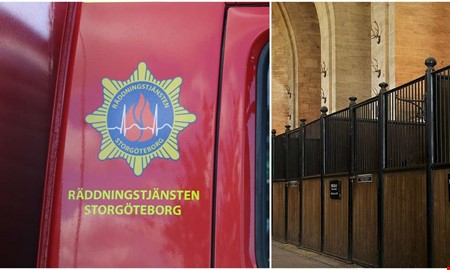 Räddningsinsats när häst fastnade 