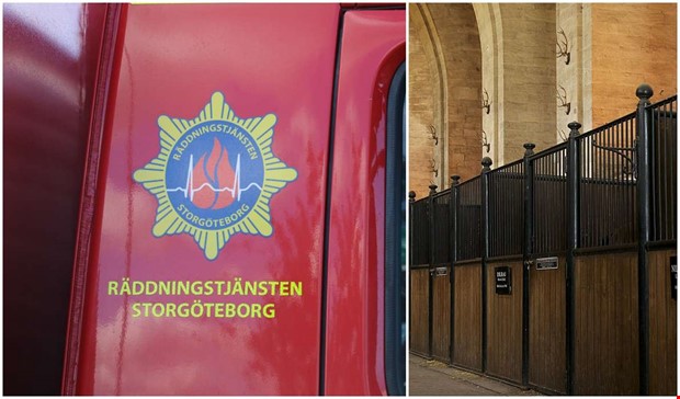 Räddningsinsats när häst fastnade Räddningsinsats när häst fastnade