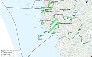 Här är naturreservat att besöka i sommar