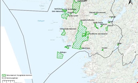 Här är naturreservat att besöka i sommar