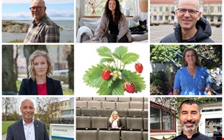 Kungsbackaprofilerna: Det är våra smultronställen