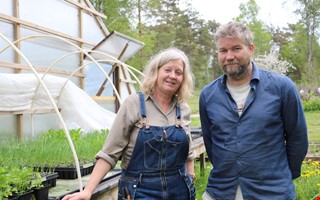 Det kan du fortfarande odla – grönsaksbönderna ger tips  