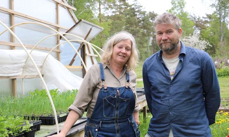 Det kan du fortfarande odla – grönsaksbönderna ger tips  
