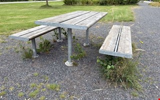 Debatt: Parkstaden – en skamfläck 