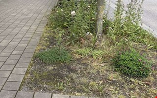Debatt: Tillsammans utvecklar vi vår stad  