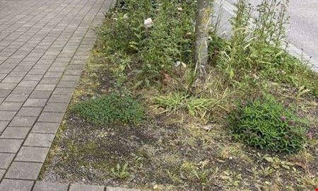 Debatt: Tillsammans utvecklar vi vår stad  