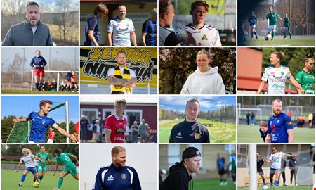 Jättenkät inför VM: 37 profiler tycker till