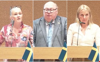 Utspelet i fullmäktige: 