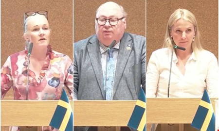Utspelet i fullmäktige: 