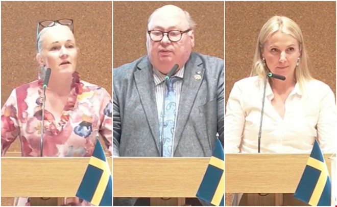 Utspelet i fullmäktige: 
