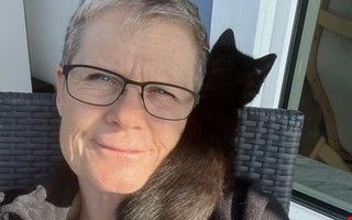 Stort behov av jourhem för katter i sommar