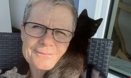 Stort behov av jourhem för katter i sommar