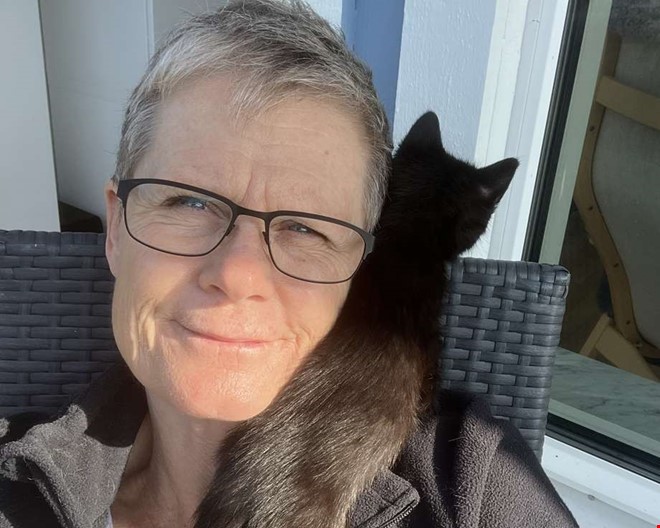 Stort behov av jourhem för katter i sommar