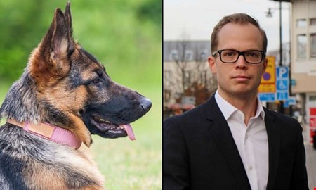 Hundar hittade narkotika på skola i Kungsbacka