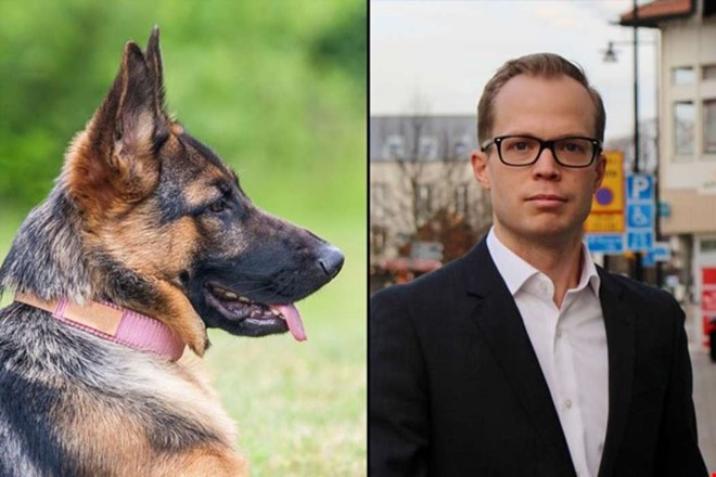 Hundar hittade narkotika på skola i Kungsbacka