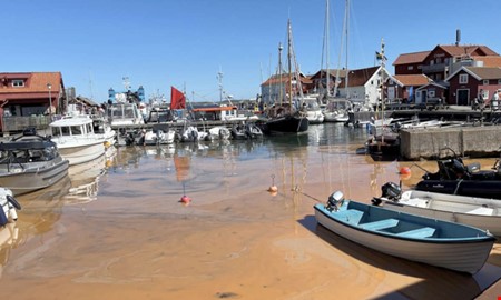 Mareld på västkusten – så är läget i Kungsbacka
