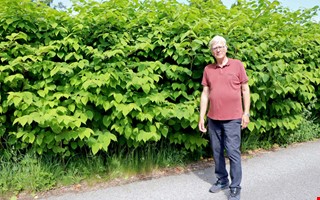 Onsalabon vill krossa ”myten” om parkslide