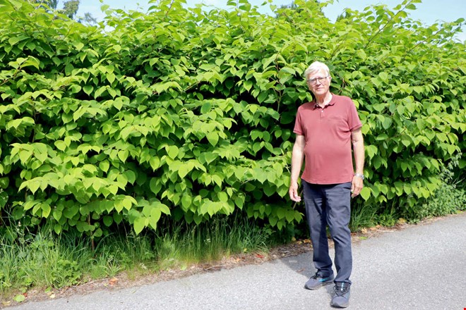 Onsalabon vill krossa ”myten” om parkslide