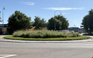 Ökade kostnader – så påverkas våra grönområden