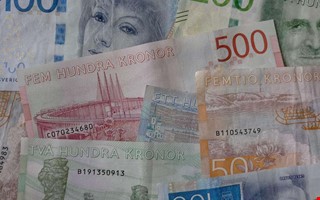 Debatt: Hammargård – det största miljöprojektet
