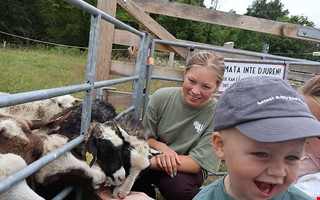 Sofies jobb bland djuren är rena drömmen i sommar