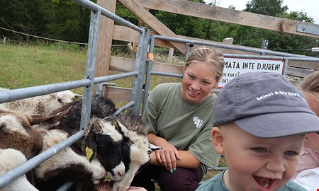 Sofies jobb bland djuren är rena drömmen i sommar