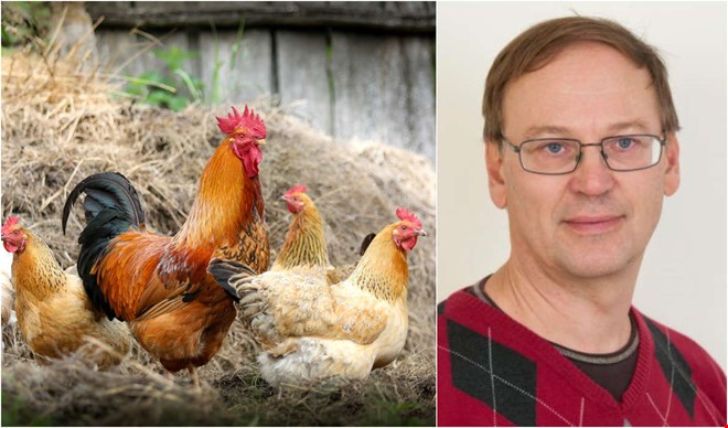 Tupp håller grannen vaken – tillstånd kan nekas