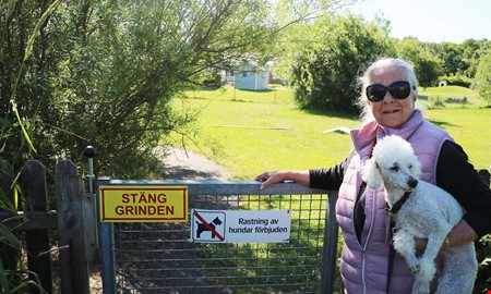 Förskolan fick nog av bajset – nu portas hundägarna 