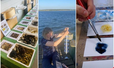 Vecka med havet i fokus – mycket händer i Kungsbacka